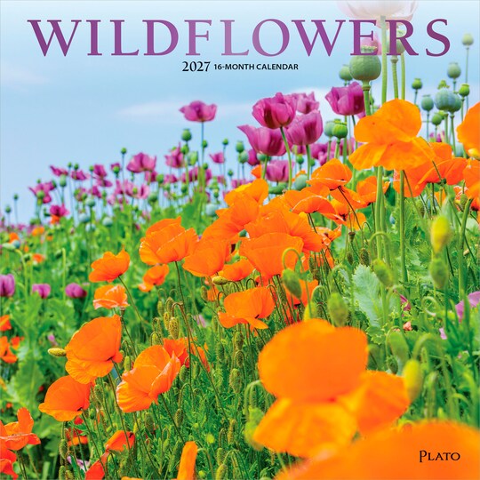 Plato; Wildflowers | 2027 12 x 24 Inch (Hanging) Monthly Square Wall Calendar | Foil Stamped Cover; Category:Wall Calendars; Image:1